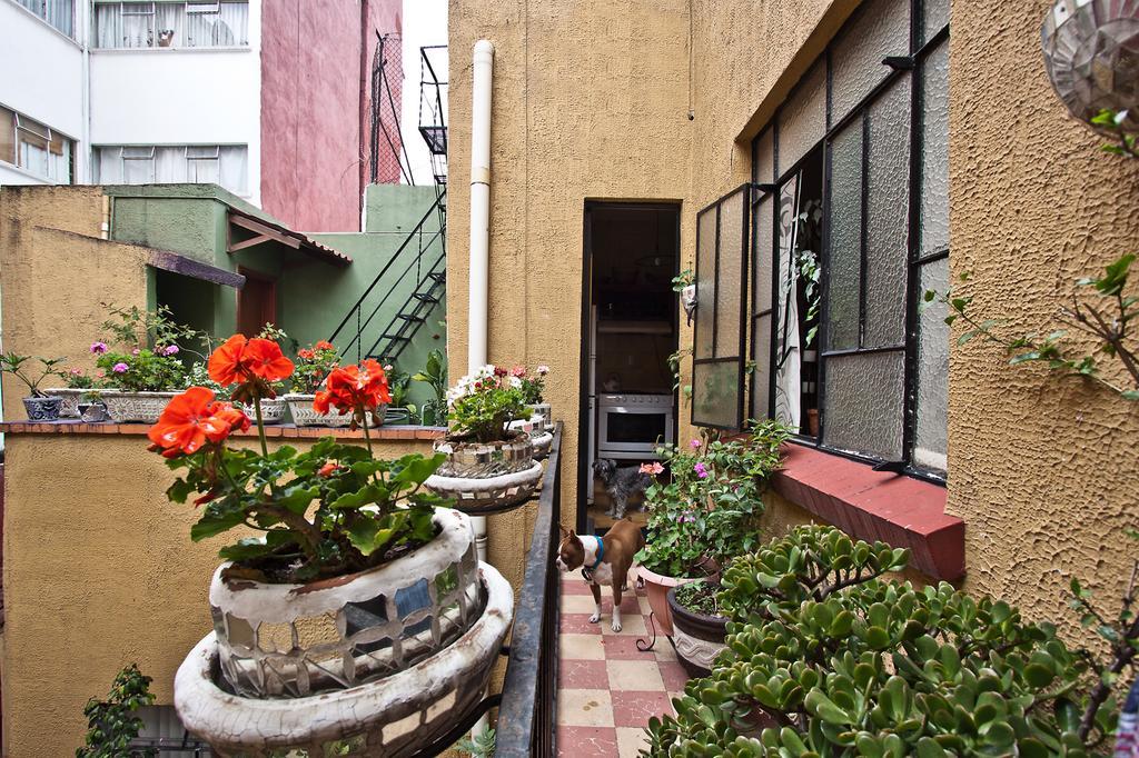 Condechi B And B Mexico City Ngoại thất bức ảnh